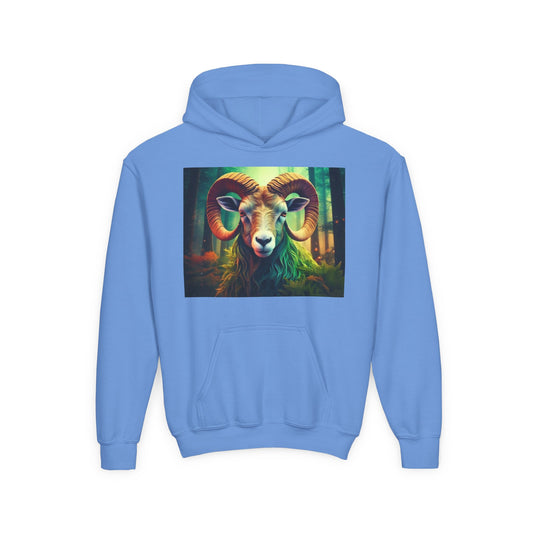 Aries Youth Hoodie - Heavy Blend Sweatshirt