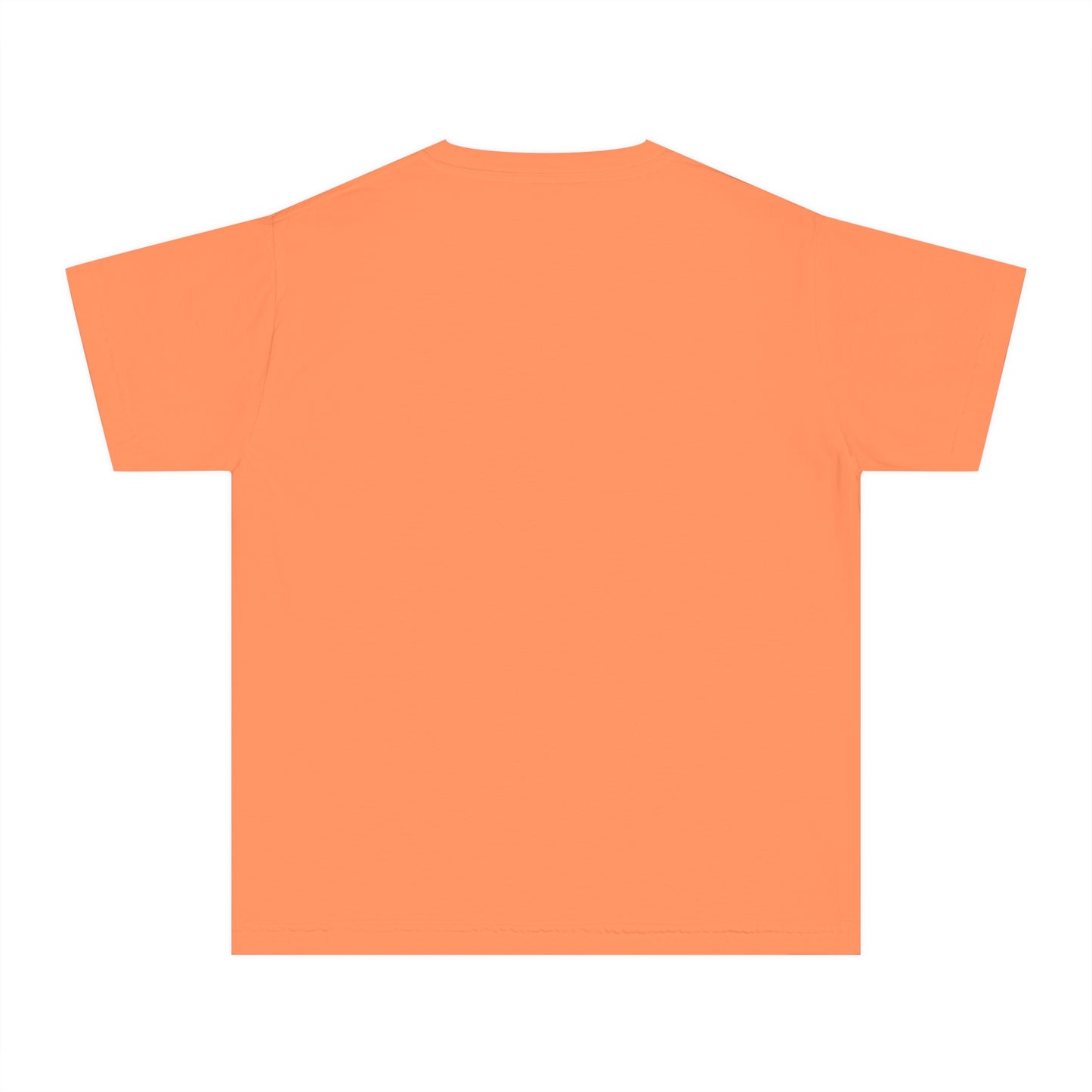 Aquarius Youth Midweight Tee