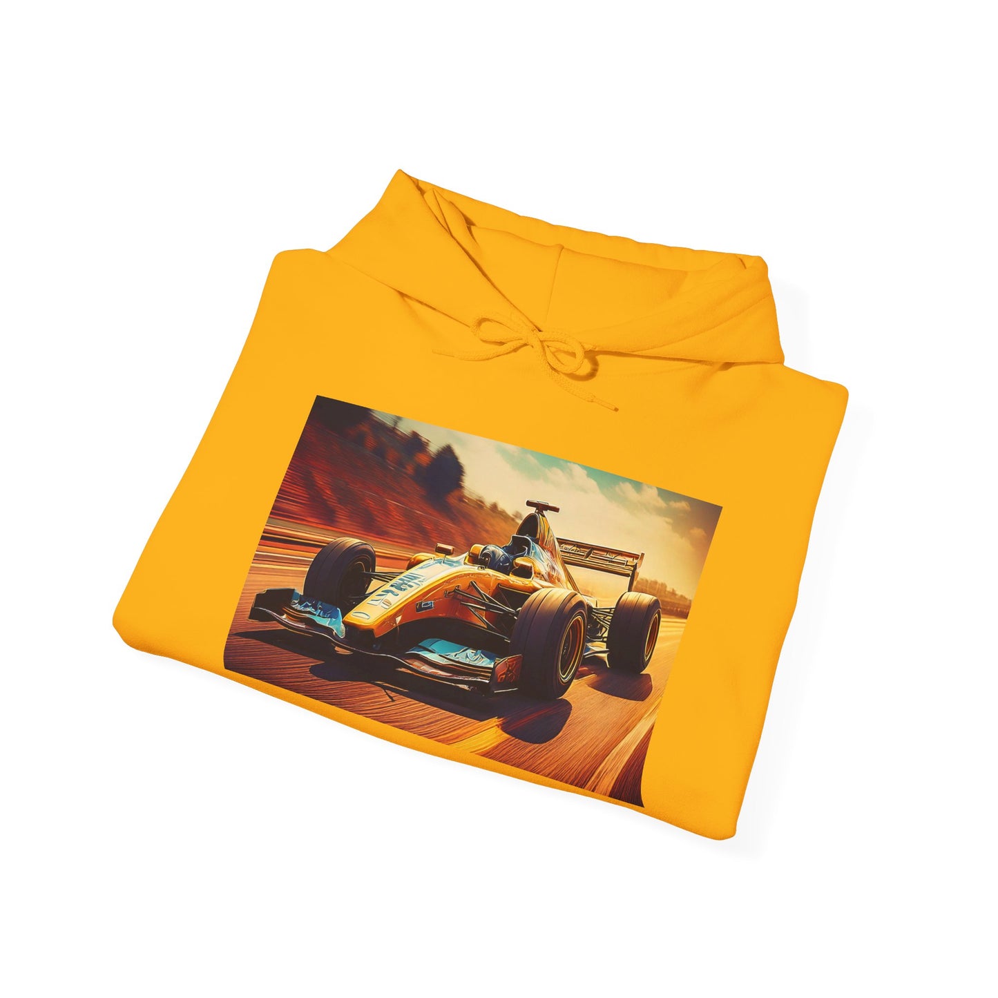 F1  Unisex Hoodie - Racing Vibes