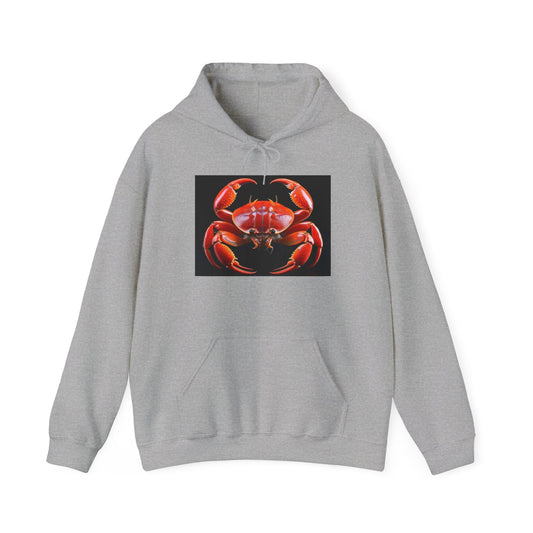 Cancer Unisex Hoodie - Zodiac Vibes